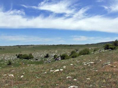 Прикрепленное изображение: DSCF8451.jpg